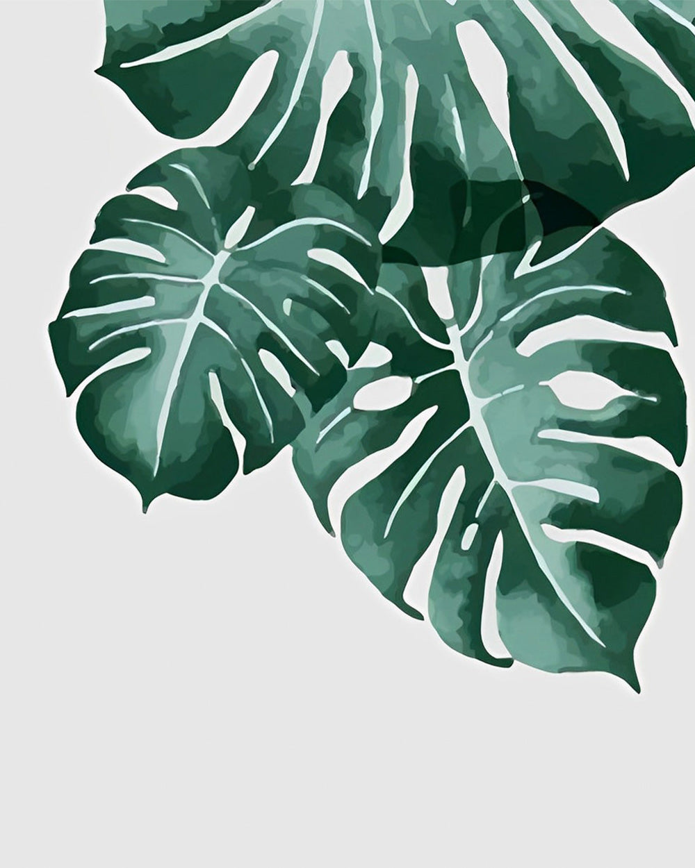 Drei Monstera Blätter Diamond Painting