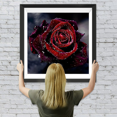 Dunkelrote Rose mit Tautropfen Diamond Painting