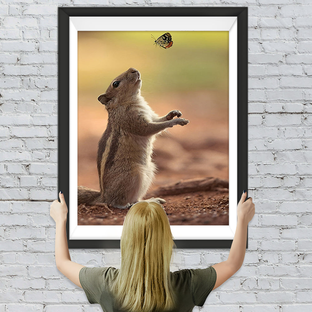 Eichhörnchen und Schmetterling Diamond Painting