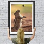 Eichhörnchen und Schmetterling Diamond Painting