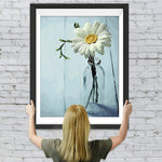 Eine kleine weiße Chrysantheme Diamond Painting