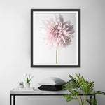 Eine rosa Chrysantheme Diamond Painting