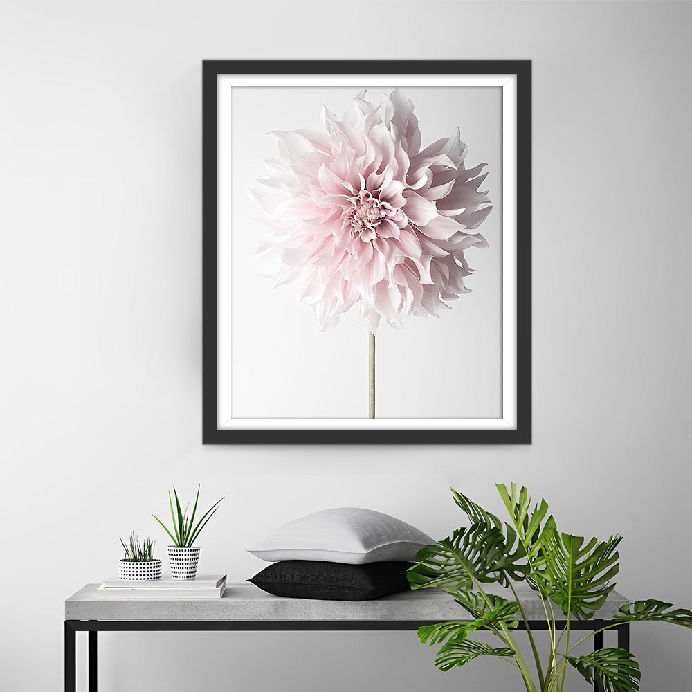 Eine rosa Chrysantheme Diamond Painting