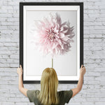 Eine rosa Chrysantheme Diamond Painting