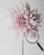 Eine rosa Chrysantheme Diamond Painting