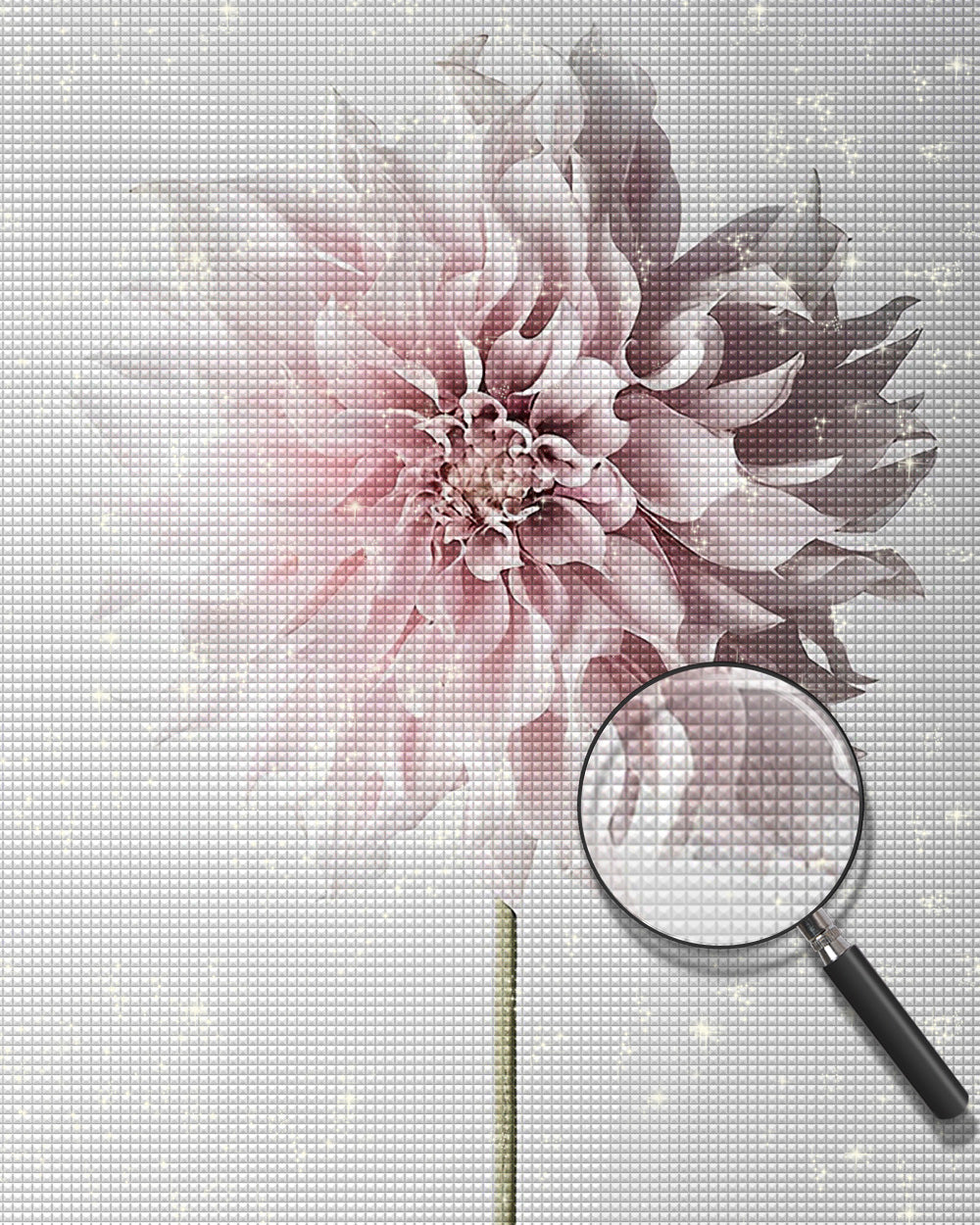 Eine rosa Chrysantheme Diamond Painting