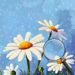 Einfache weiße Gänseblümchen Diamond Painting