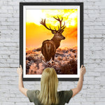 Elch bei Sonnenuntergang Diamond Painting
