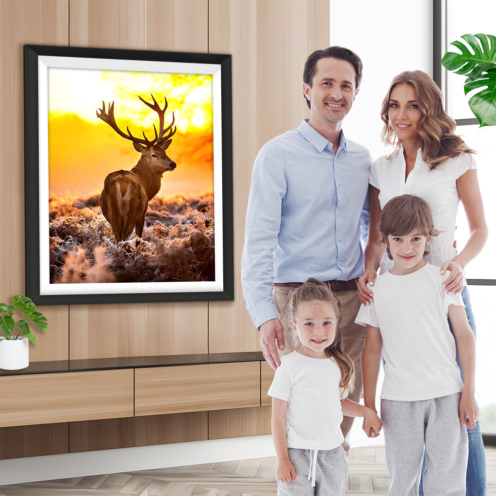 Elch bei Sonnenuntergang Diamond Painting