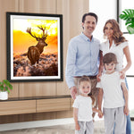 Elch bei Sonnenuntergang Diamond Painting