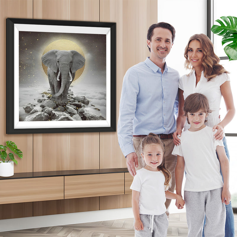 Elefant auf Felsen unter dem Mond Diamond Painting