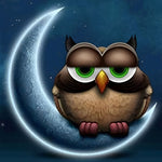 Eule schläft auf dem Mond Diamond Painting