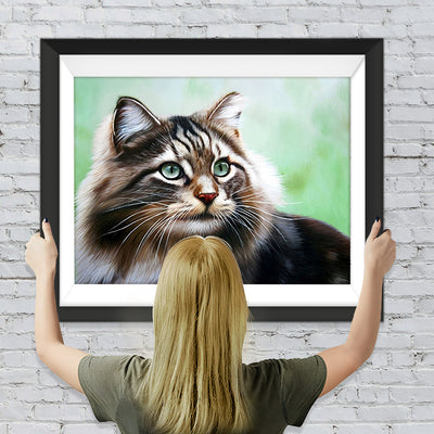 Flauschige Maine-Katze Diamond Painting