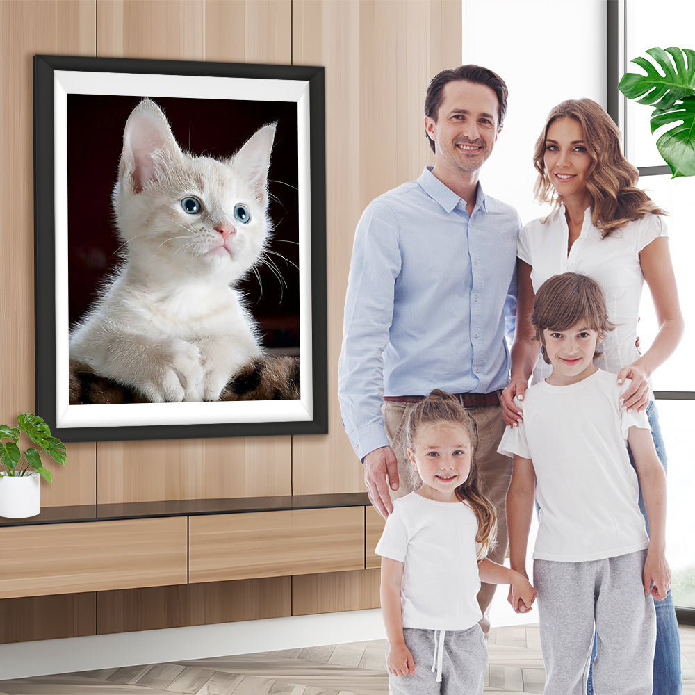 Flauschige weiße Katze Diamond Painting