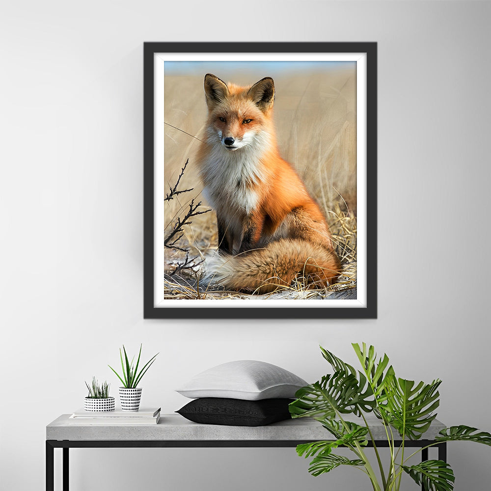 Fuchs auf Herbstgrasland Diamond Painting