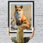 Fuchs auf Herbstgrasland Diamond Painting