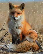 Fuchs auf Herbstgrasland Diamond Painting