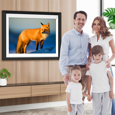 Fuchs Diamond Painting