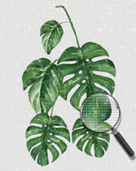 Fünf Monstera Blätter Diamond Painting