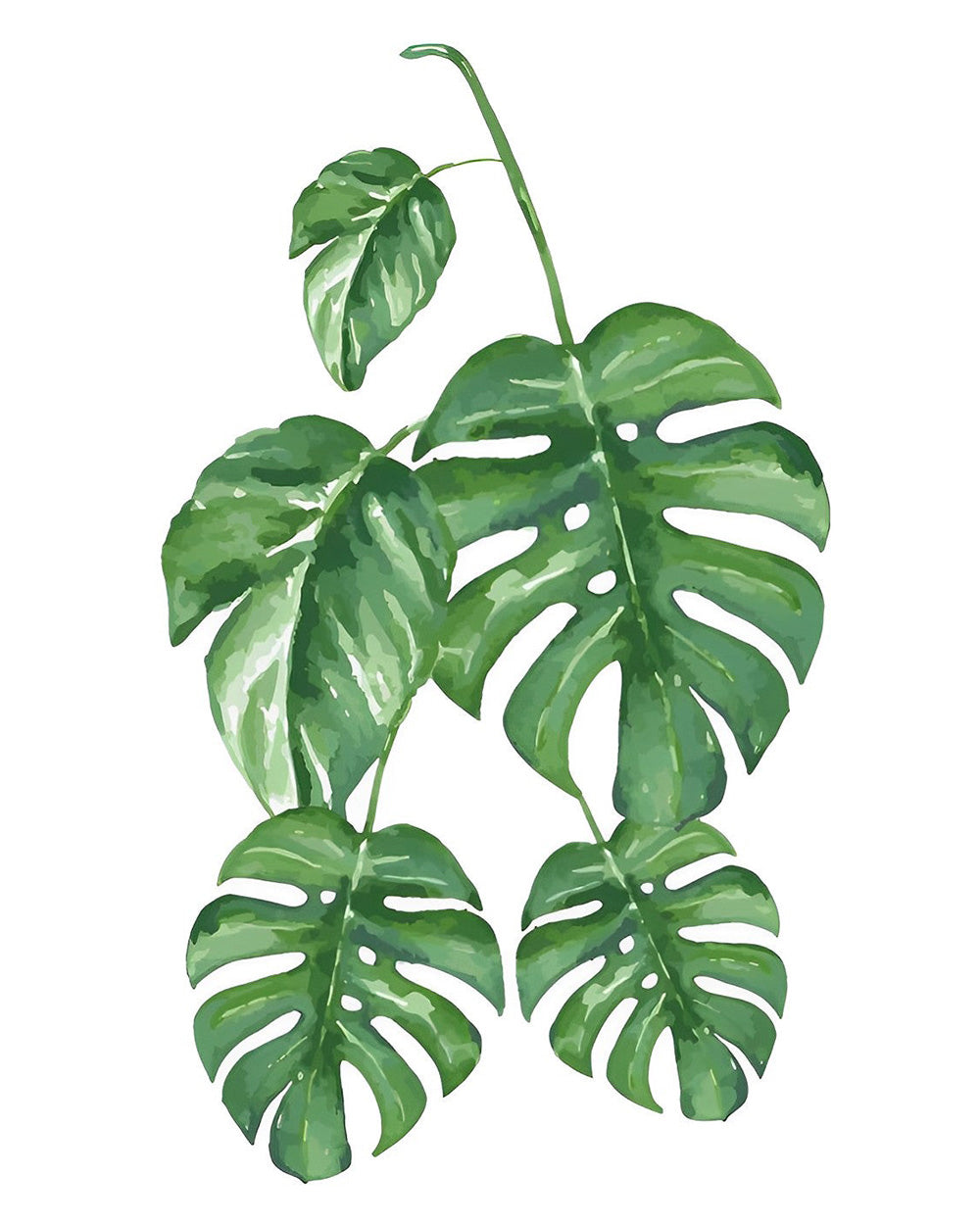 Fünf Monstera Blätter Diamond Painting