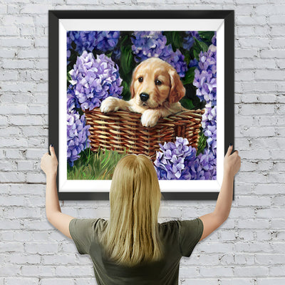 Golden Retriever in den Hortensien Diamond Painting