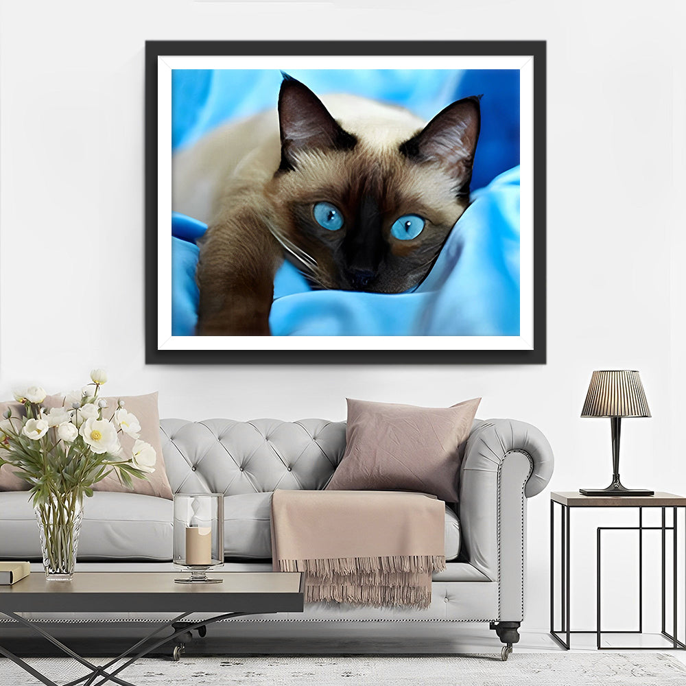Graue Katze mit blauen Augen Diamond Painting