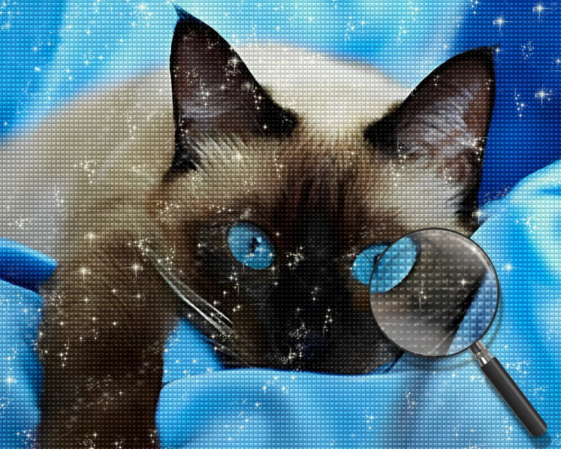 Graue Katze mit blauen Augen Diamond Painting