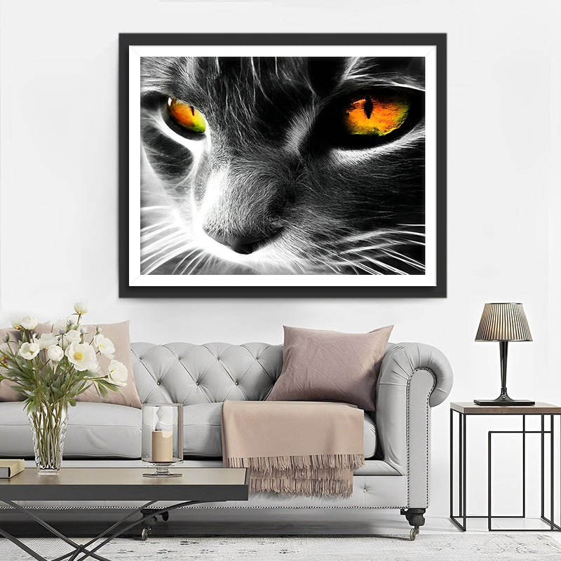 Graue Katze mit orangefarbenen Augen Diamond Painting