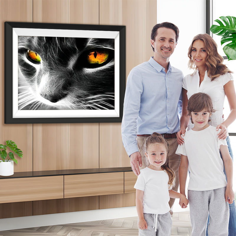 Graue Katze mit orangefarbenen Augen Diamond Painting