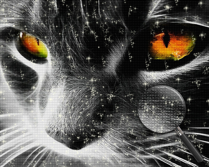 Graue Katze mit orangefarbenen Augen Diamond Painting