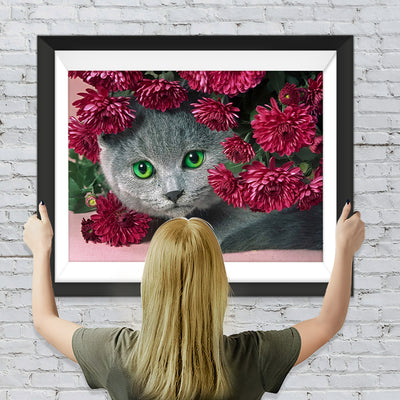 Graue Katze und rote Chrysantheme Diamond Painting