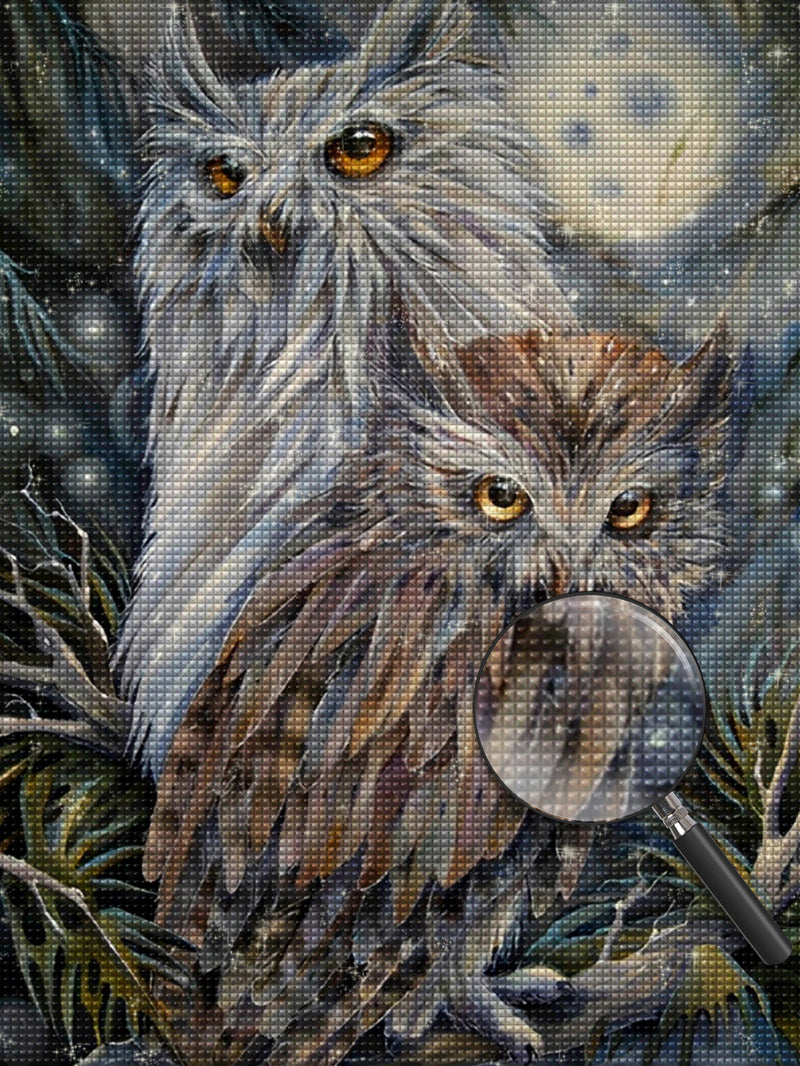 Graue und weiße Eule Diamond Painting