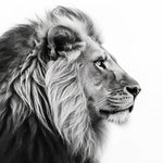 Grauer Löwe Diamond Painting