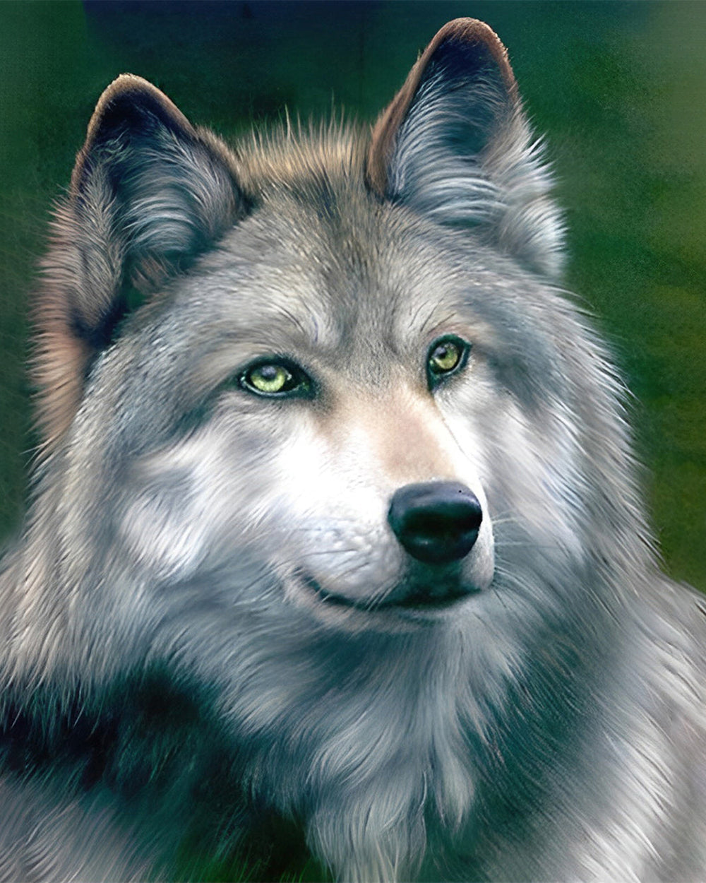 Grauer Wolf Diamond Painting