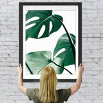 Grüne Monstera Blätter Diamond Painting