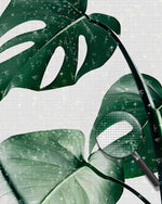 Grüne Monstera Blätter Diamond Painting