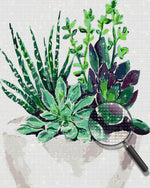 Grüne Sukkulente Diamond Painting