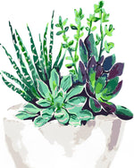 Grüne Sukkulente Diamond Painting