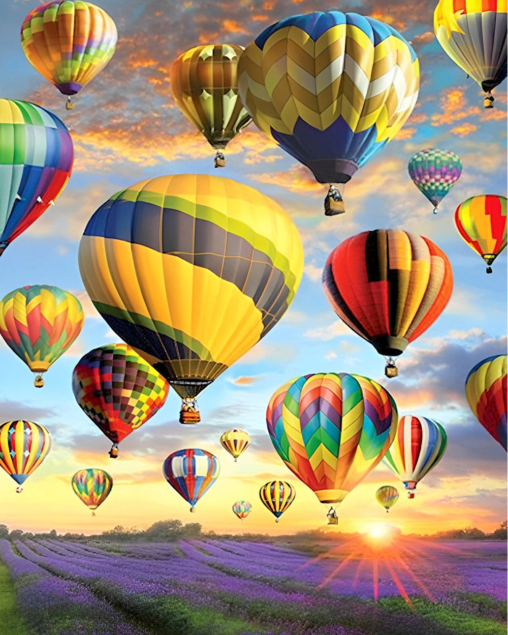 Heißluftballons über Lavendelfeldern Diamond Painting