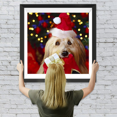 Hund in Weihnachtsmütze Diamond Painting