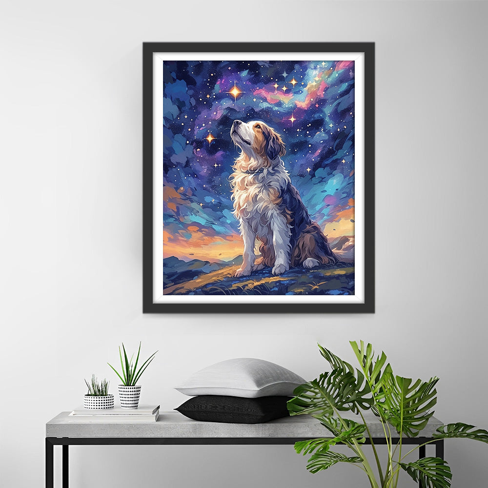 Hund schaut zu den Sternen auf Diamond Painting