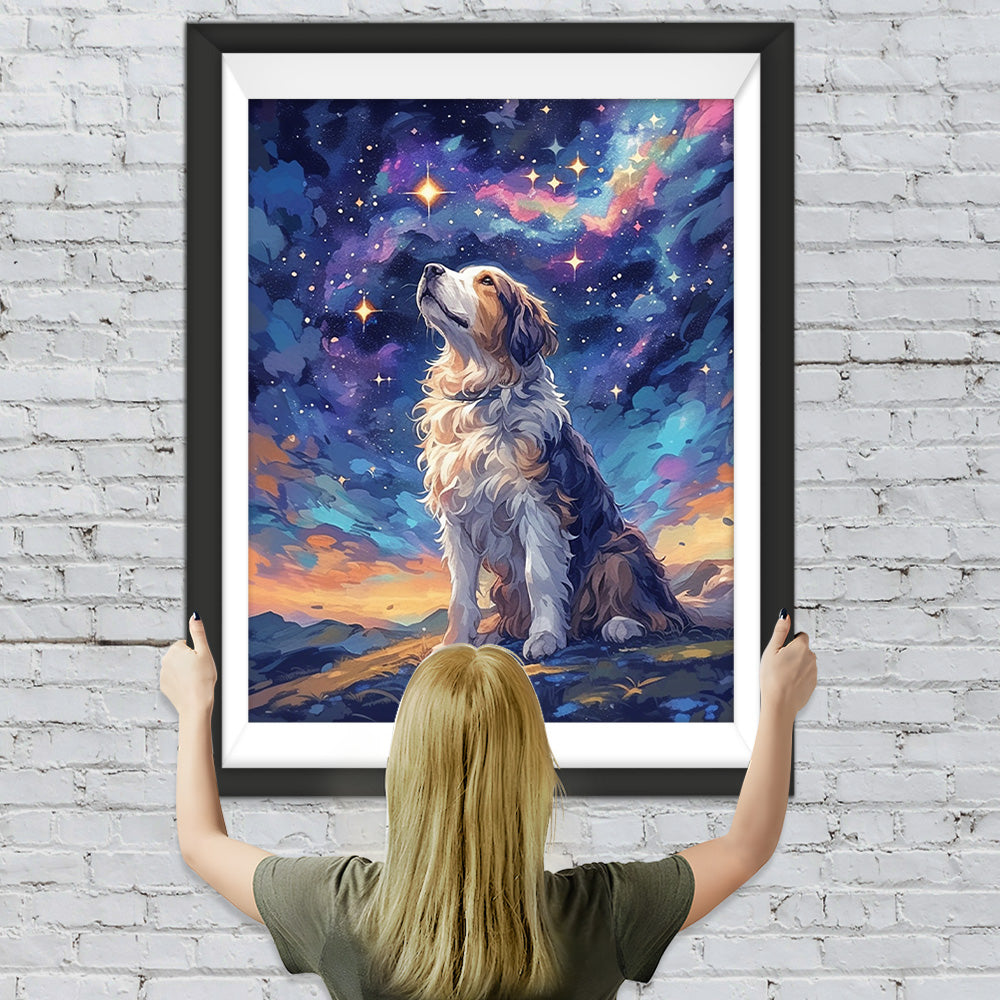 Hund schaut zu den Sternen auf Diamond Painting