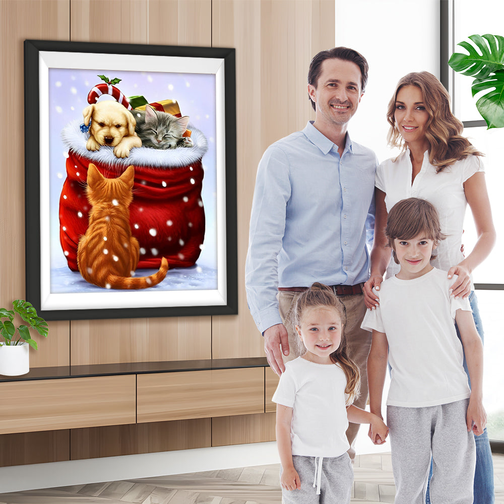 Hund und Katze im Weihnachtsgeschenk Diamond Painting