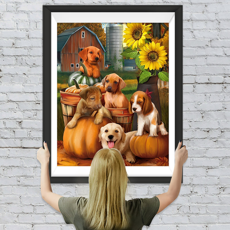 Hunde, Kürbisse und Sonnenblumen Diamond Painting