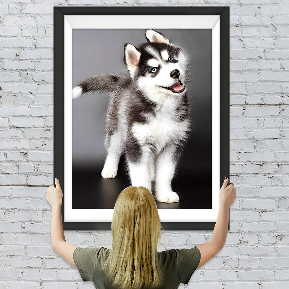 Husky Diamond Painting