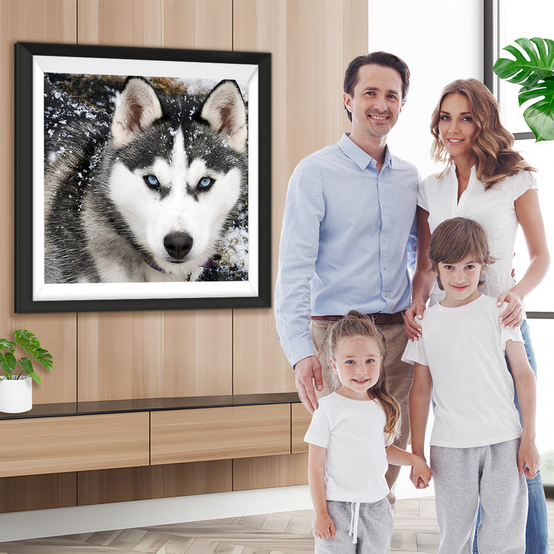 Husky im Schnee Diamond Painting