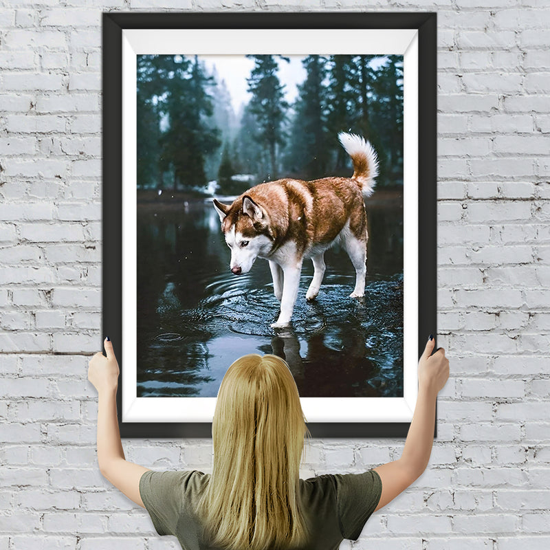 Husky im Wald Diamond Painting