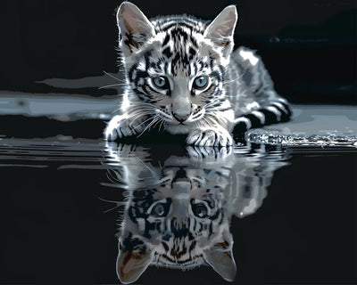 Kätzchen und Wasserreflexion Diamond Painting