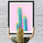 Kakteen auf rosa Hintergrund Diamond Painting