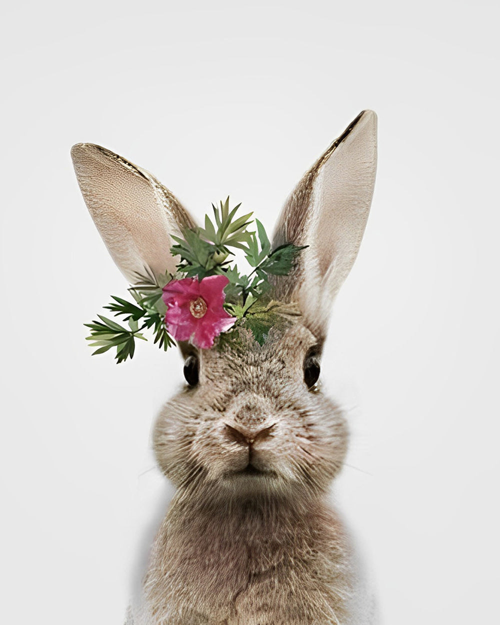 Kaninchen mit roter Blume Diamond Painting